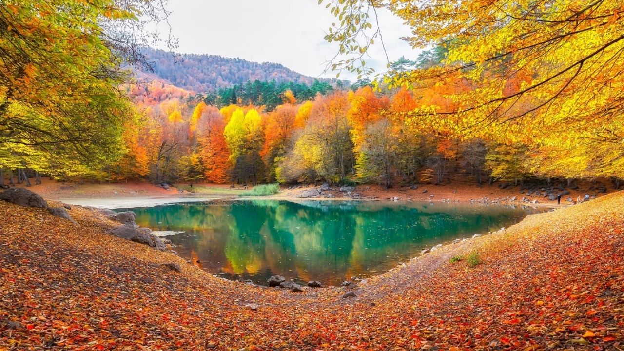 Cebinizi Ve Özgürlüğünüzü Yakmayın! Milli Parklarda Yeni Dönemin 5 Kritik Kuralı